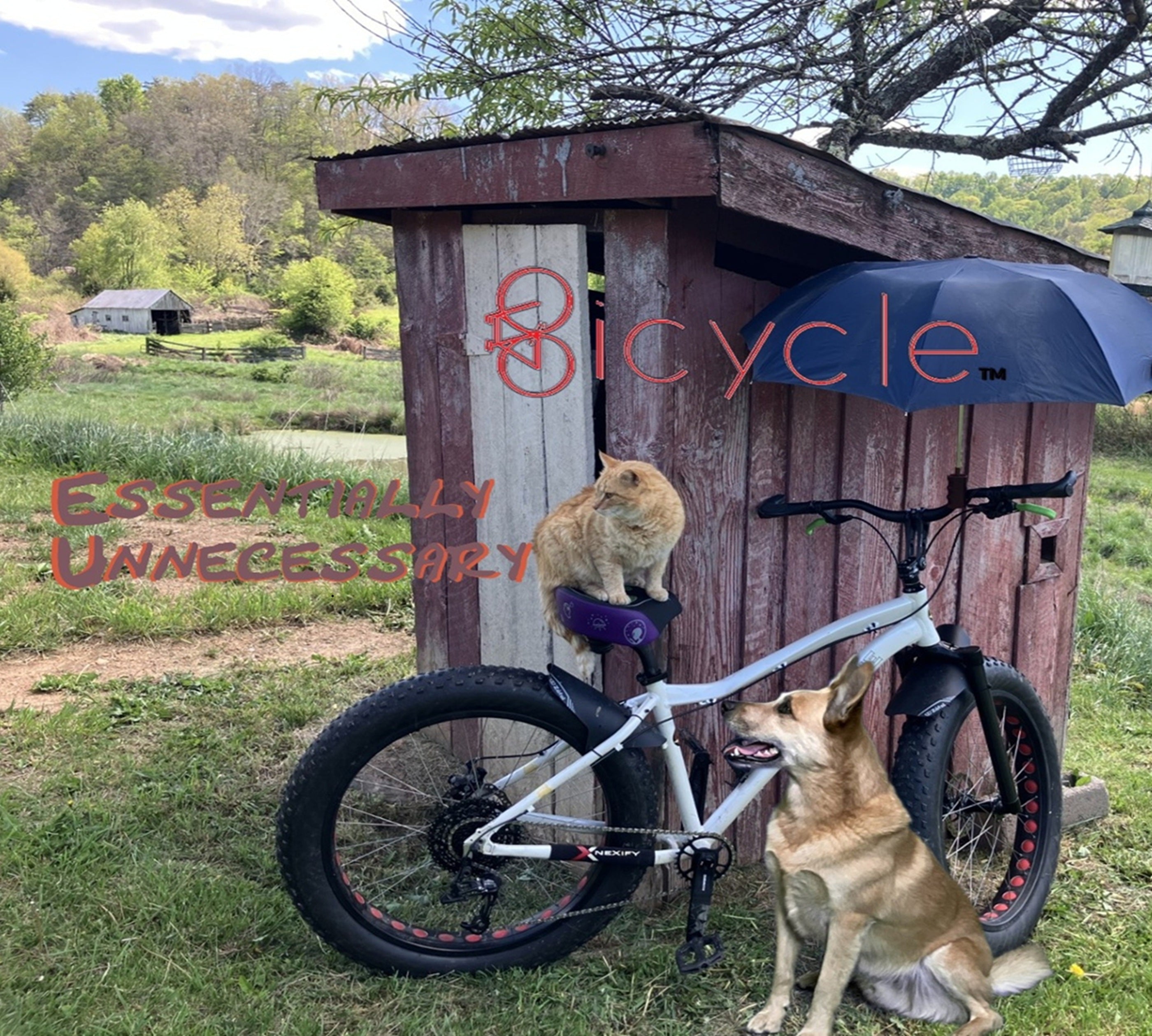 Bicycle - Essentially Unnecessary - CD