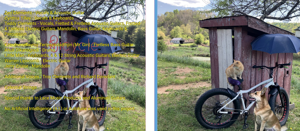 Bicycle - Essentially Unnecessary - CD