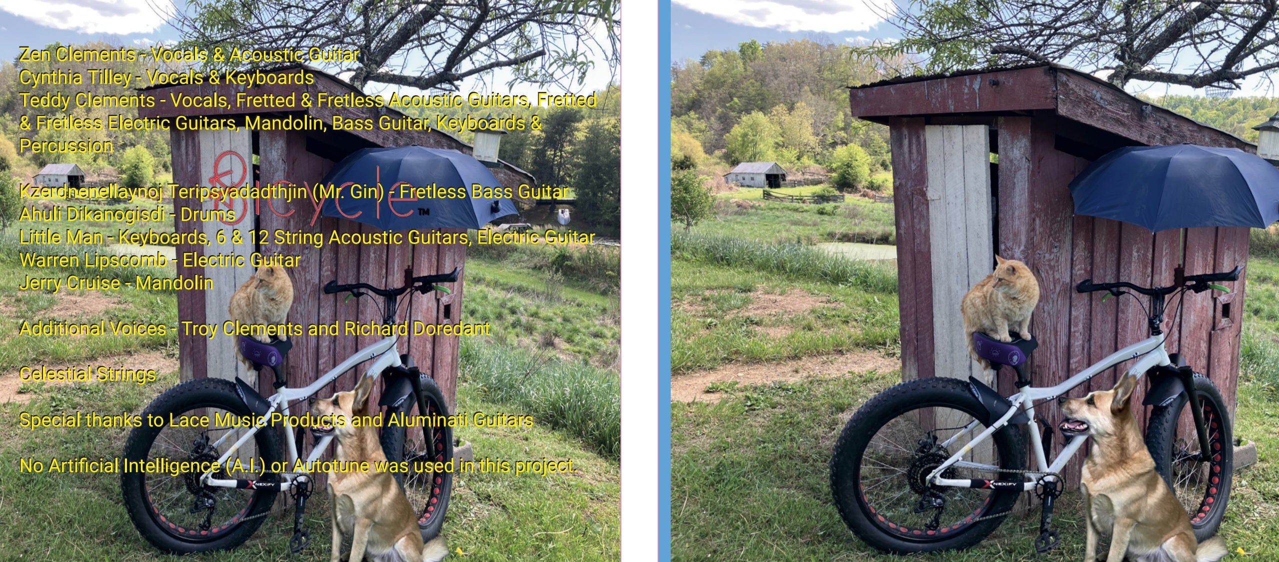 Bicycle - Essentially Unnecessary - CD